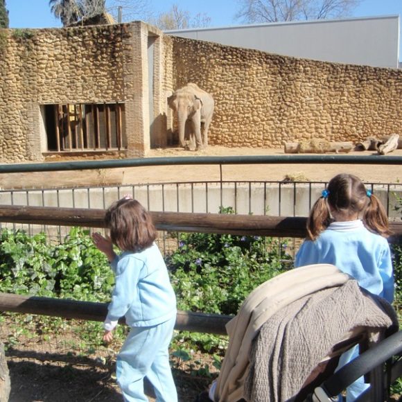 Visita al zoo y taller de comida